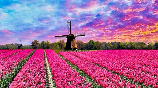 Amsterdam e l'Olanda