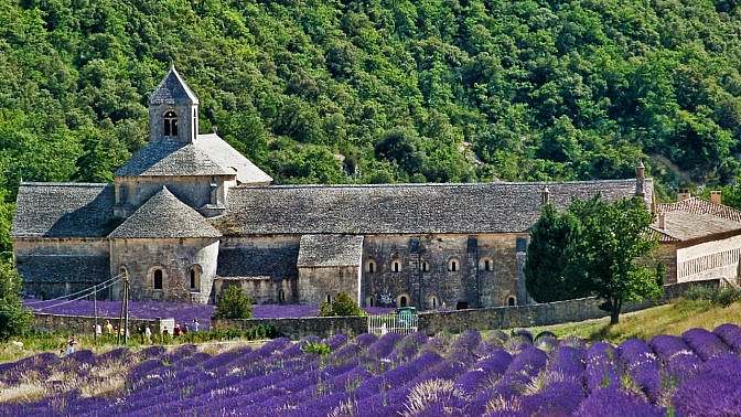 Via della Lavanda in fiore