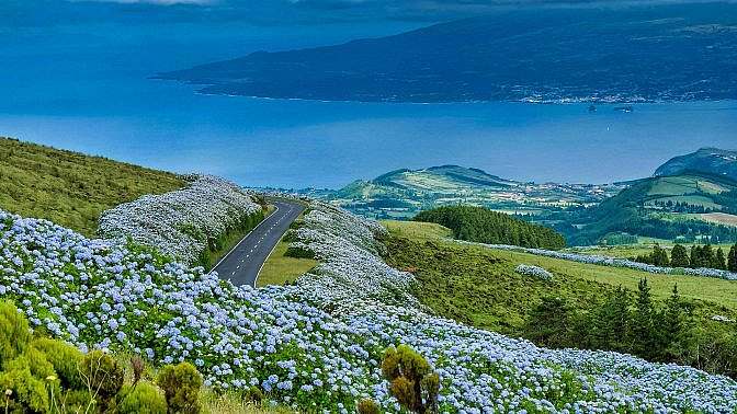 Alle Azzorre per la fioritura delle Ortensie