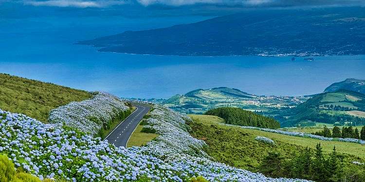 Eritrea: tra mare e deserto (completo)