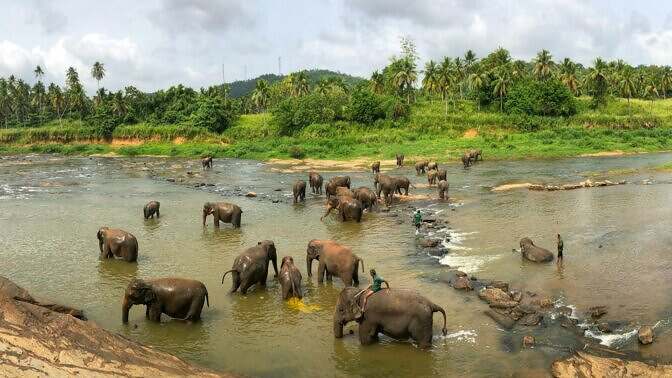 Gran Tour dello Sri Lanka