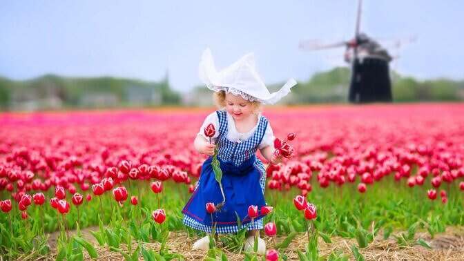 Amsterdam e l'Olanda in fiore
